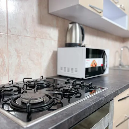 Renthouse Greenstay Apartment Chisinau